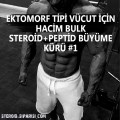 Hacim Bulk Steroid ve Peptid Kürü #1 (Ektomorf)